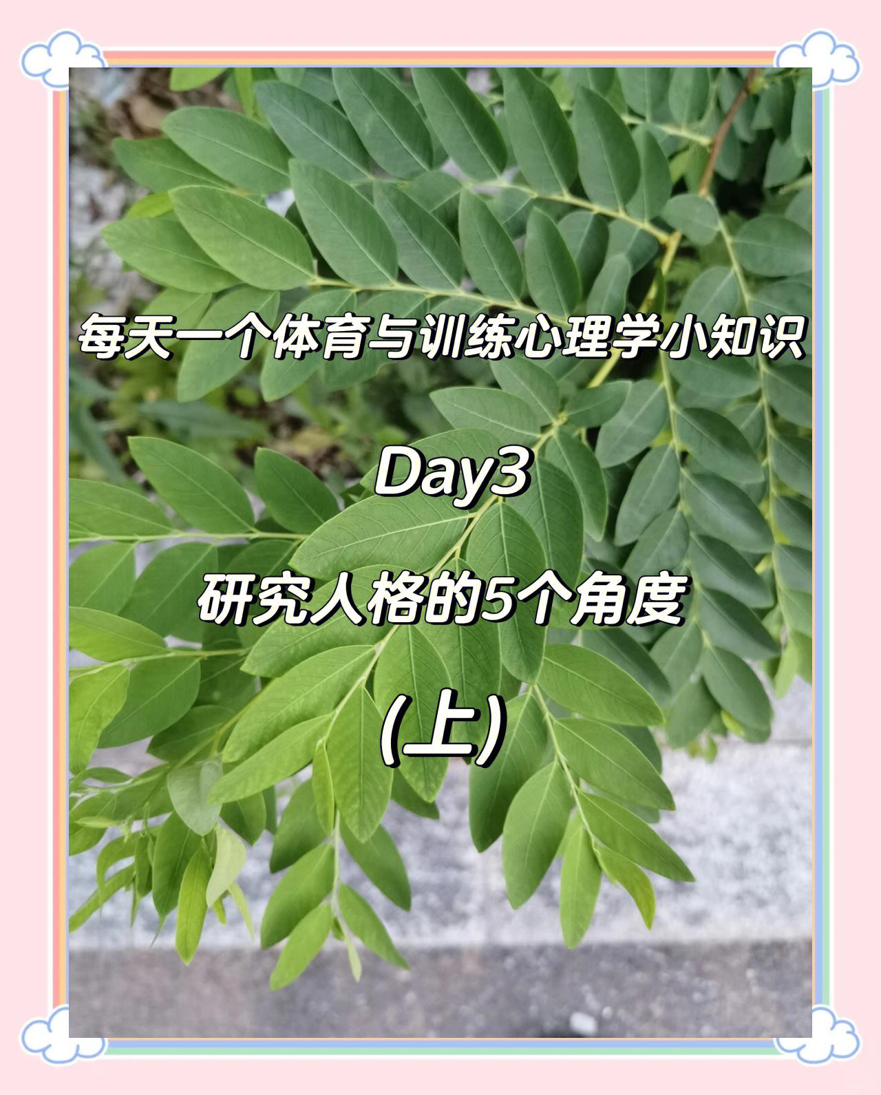 运动员心态训练：从心理学角度解析