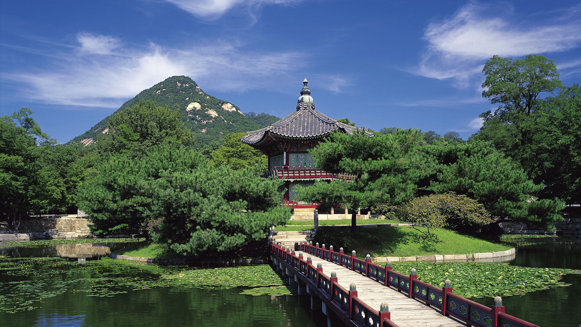 法甲荣耀战:锐利攻势助球队勇夺冠军