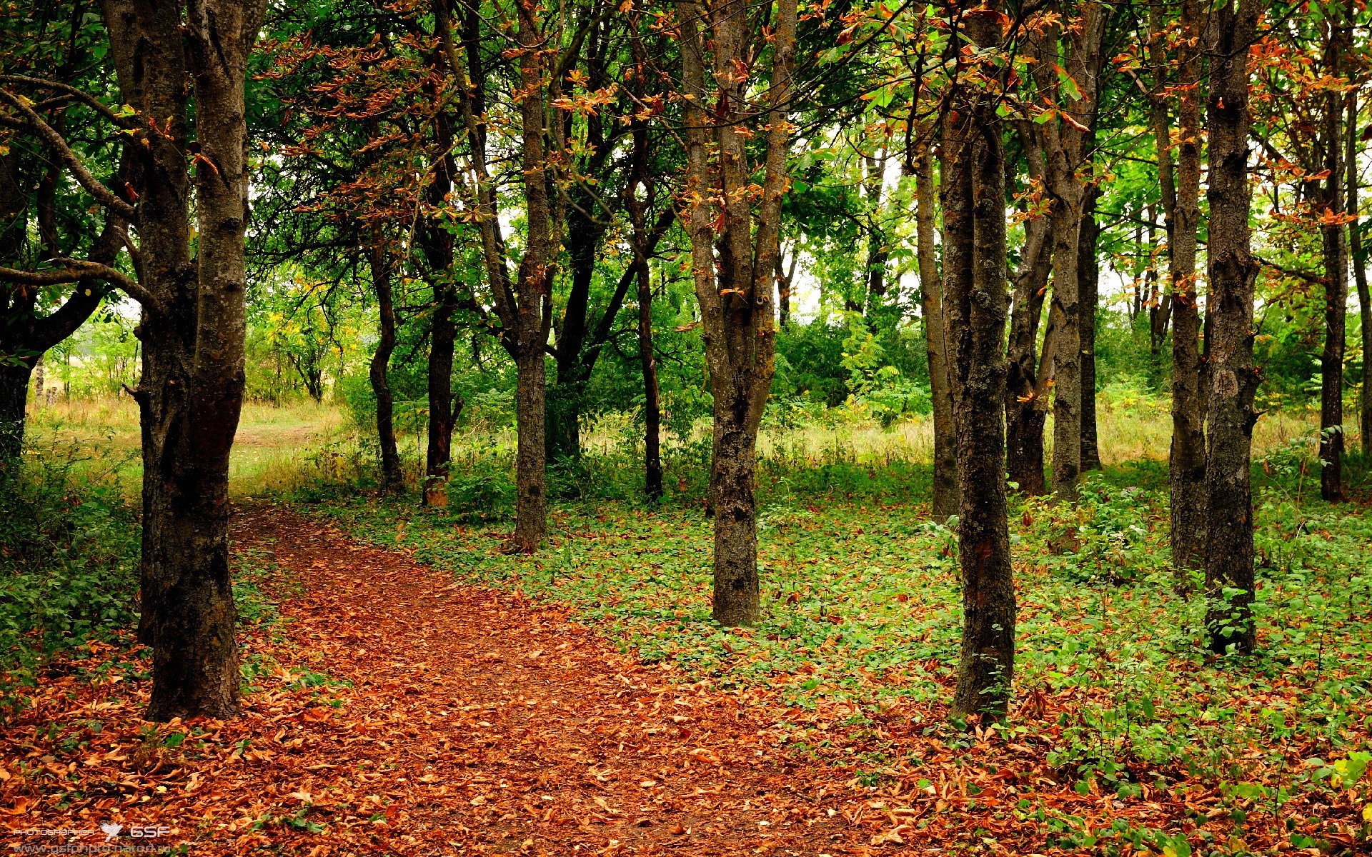 kaiyun sports-青少年篮球比赛试点智能计时系统提升公平性，青少年篮球联赛